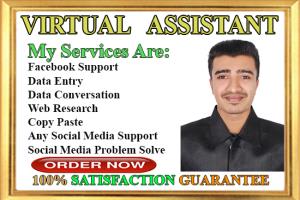 Portfolio for Virtual Assistant For Any Social Media